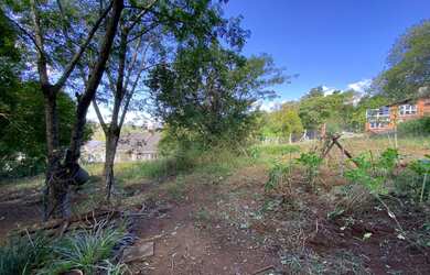 Imagem 9: Terrenos no bairro Vista Alegre