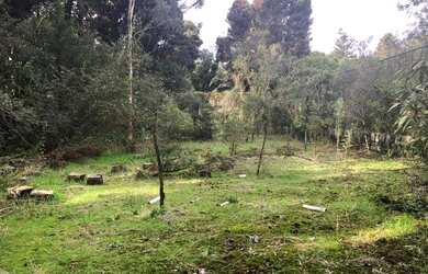 Imagem: O terreno possui 20m² de Área e está localizado em Centro