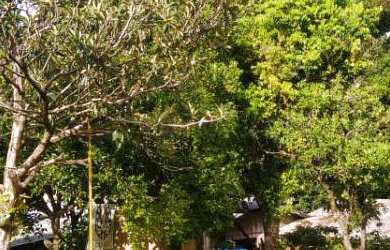 Imagem: O terreno possui 20m² de Área e está localizado em Vale