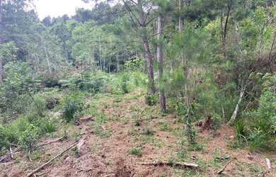 Imagem: O terreno possui 20m² de Área e está localizado em Nova