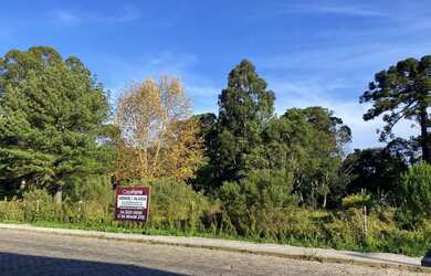 Imagem: O terreno à venda e está localizado em Diamantino, Caxias
