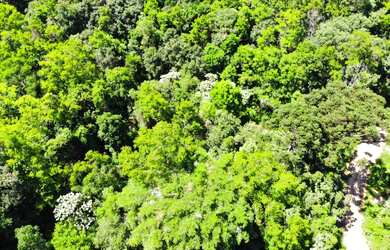 Imagem: O terreno possui 15.000m² de Área e está localizado em Vila