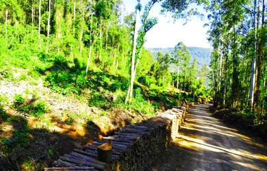 Imagem: O terreno possui 21.000m² de Área e está localizado em Arroio