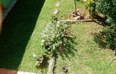 Imagem 10: Casa com 3 Dormitorio s localizado a no bairro Fazenda Fialho em Taquara...