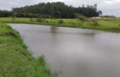 Imagem 5: CHÁCARA NO BAIRRO FAZENDA