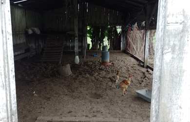 Imagem 16: CHÁCARA NO BAIRRO FAZENDA