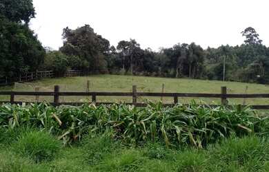 Imagem 12: CHÁCARA NO BAIRRO FAZENDA