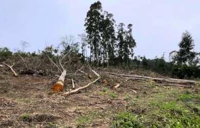 Imagem: A chácara possui 2.750m² de Área Privada e está localizado