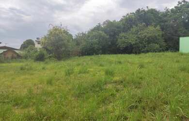 Imagem 4: Terreno com 3 Dormitorio s localizado a no bairro Sagrada Familia em Taquara...