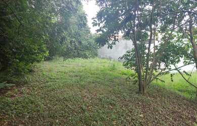 Imagem 6: Terreno com 3 Dormitorio s localizado a no bairro Sagrada Familia em Taquara...