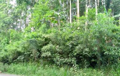 Imagem 3: Sítio em Igrejinha. 42m² de Área Privada