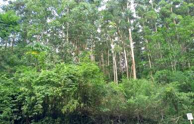 Imagem 4: Sítio em Igrejinha. 42m² de Área Privada