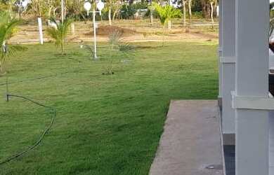 Imagem 3: Associação Recanto Dos Pequizeiros