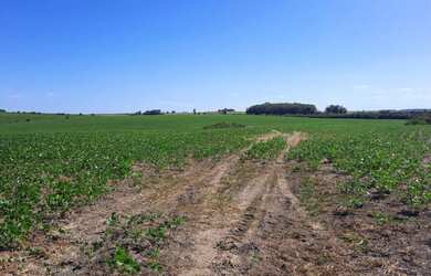 Imagem: A fazenda possui 22m² de Área e está localizado em Cordilheira