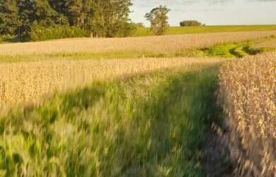 Imagem 2: Terras para AGRICULTURA. 152m² de Área