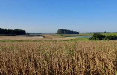 Imagem 1: Terras para AGRICULTURA. 152m² de Área