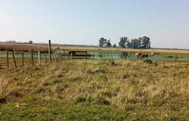 Imagem 3: PRA FECHAR NEGÓCIO. 217m² de Área