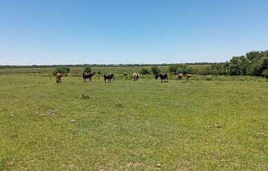 Imagem 4: PRA FECHAR NEGÓCIO. 217m² de Área