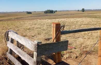 Imagem 5: PRA FECHAR NEGÓCIO. 217m² de Área