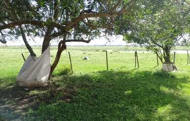 Imagem 7: PRA FECHAR NEGÓCIO. 217m² de Área