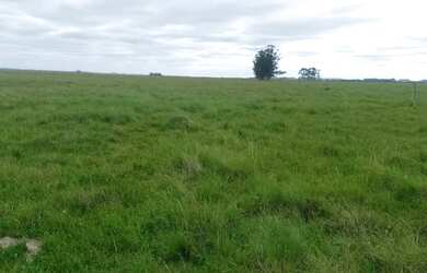 Imagem 1: PRA FECHAR NEGÓCIO. 217m² de Área