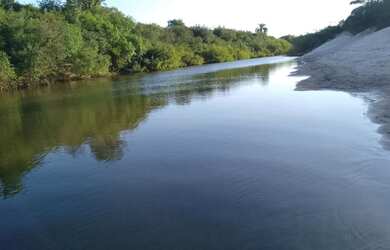 Imagem 8: PRA FECHAR NEGÓCIO. 217m² de Área