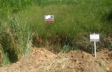 Imagem: O terreno possui 294m² de Área e está localizado em Jardim