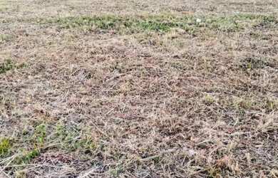 Imagem: O terreno possui 124-0m² de Área e está localizado em Parque