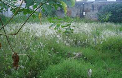 Imagem: O terreno possui 693m² de Área, Imóvel novo e está localizado