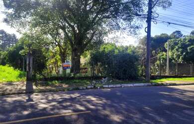 Imagem: O terreno possui Imóvel novo e está localizado em Primavera