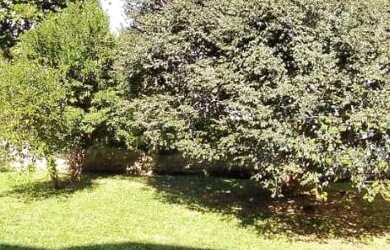 Imagem 6: Casa de alvenaria bairro Ideal medindo 292m2, com 2 terrenos 875m2