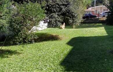 Imagem 10: Casa de alvenaria bairro Ideal medindo 292m2, com 2 terrenos 875m2