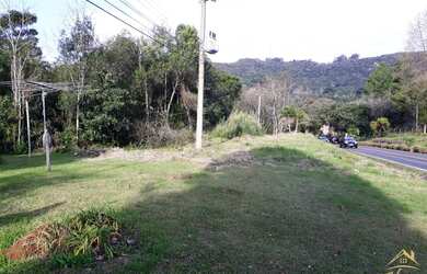 Imagem: O terreno está localizado em Linha Araripe, Nova Petrópolis