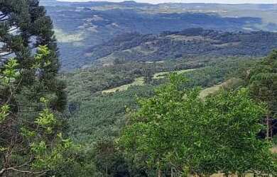 Imagem 6: área, com maravilhosa e deslumbrante vista. Bairro Linha Imperial, Nova...