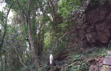 Imagem: O terreno possui 12.278m² de Área e está localizado em Linha