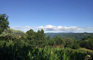 Imagem: O terreno possui 4m² de Área e está localizado em Pinhal