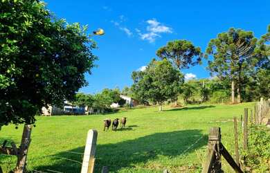 Imagem: O terreno possui 1243m² de Área Privada e está localizado