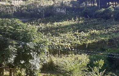 Imagem: O terreno possui 25000m² de Área e está localizado em Desvio