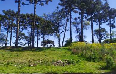 Imagem: O terreno possui 1.002m² de Área e está localizado em São