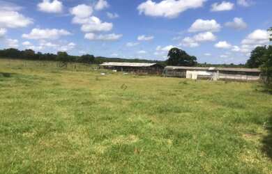 Imagem: Fazenda com 396 hectares em Nossa Senhora do Livramento/MT