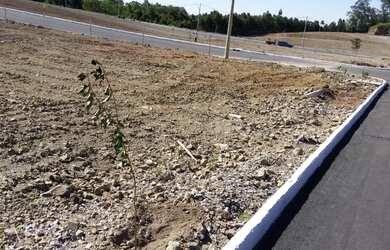 Imagem 14: Terreno Loteamento Jardim Itália - Farroupilha