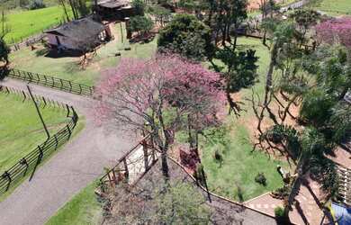 Imagem 6: Fazenda de 40ha em Sapiranga