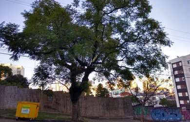 Imagem: TERRENO BAIRRO NOSSA SENHORA DE LOURDES