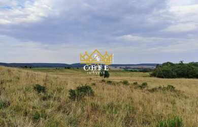 Imagem 7: Fazenda 102 hectares em Tapes/RS