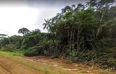 Imagem: A fazenda possui 1 Dormitório e está localizado em São Pedro