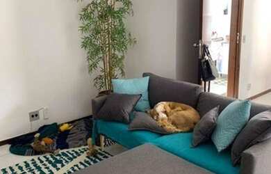 Imagem: O apartamento possui 2 Dormitórios, 2 Banheiros, 1 Vaga na