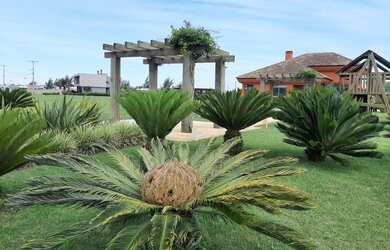 Imagem 9: Casa em Condomínio a Venda no bairro Remanso Xangrilá - Xangri-Lá,...