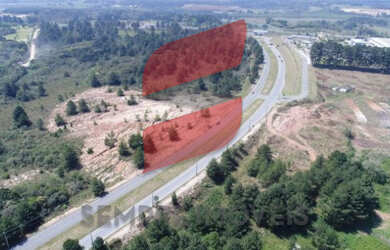 Imagem: O terreno possui 53.839m² de Área e está localizado em Roseira