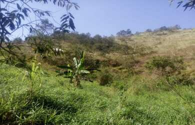 Imagem: A chácara possui 70.000m² de Área e está localizado em