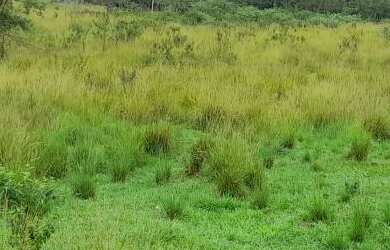 Imagem: O terreno possui 12.200m² de Área e está localizado em Chavão